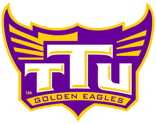 Tennessee Tech Golden Eagles 2006-Pres Alternate Logo v6 DIY iron on transfer (heat transfer)